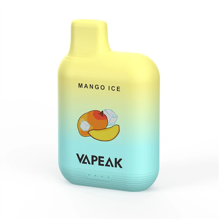 Kit Permulaan Vape Pakai